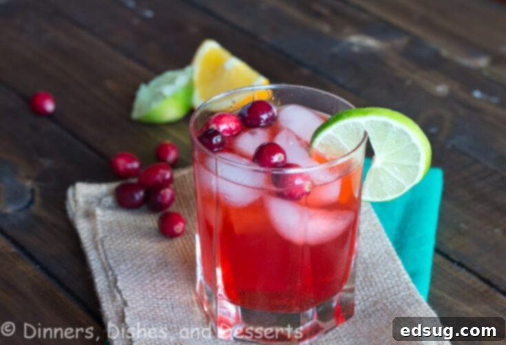 Cranberry Fizz, a sweet, tart, and fruity holiday drink.