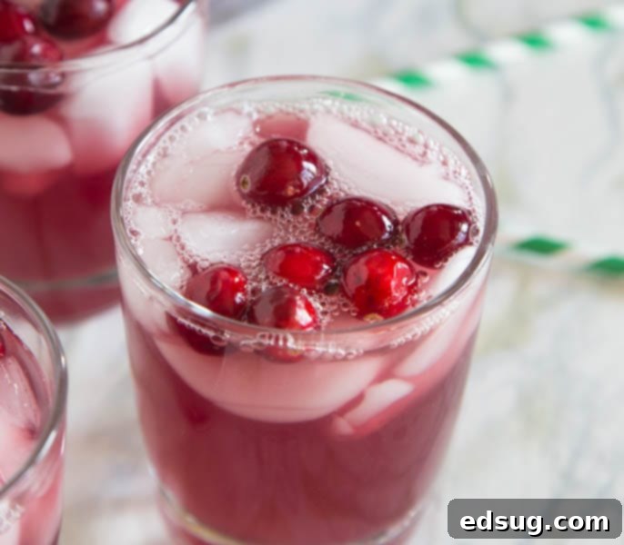 Cranberry Punch, a refreshing and easy big-batch drink for festive occasions.