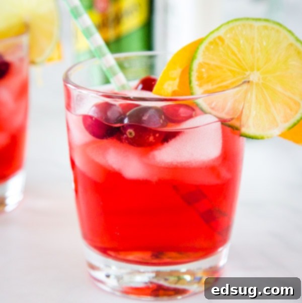 Cranberry Gin Cocktail, a delicious and festive mix of cranberry, gin, and triple sec.