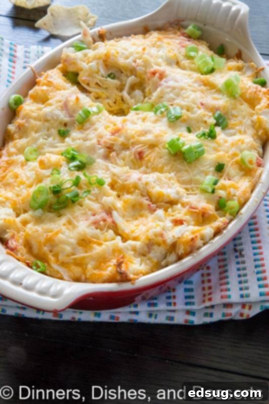 Multiple views of the hot crab dip, showing its cheesy, golden-brown crust.