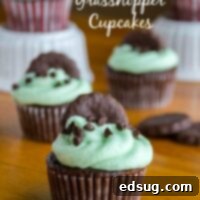 Grasshopper Cupcakes, rich chocolate cupcakes with mint buttercream frosting.