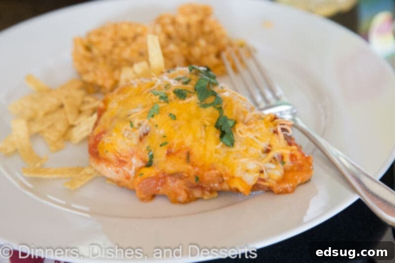 A plate featuring tender Southwest baked chicken, served alongside fluffy Mexican rice and garnished with fresh cilantro.