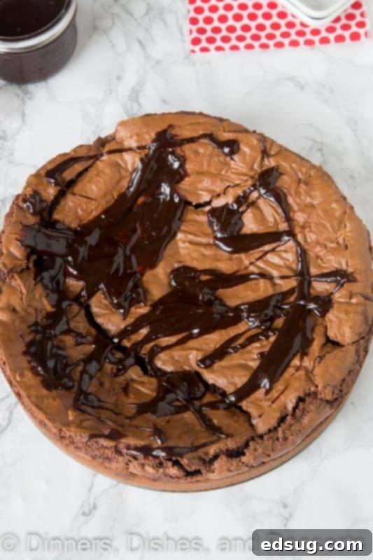 Decadent Gooey Brownie Pie 5 An overhead view of a Gooey Brownie Pie in a springform pan, cooled and ready for slicing
