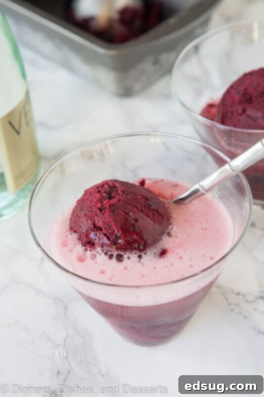 Lush Black Cherry Sorbet in an elegant glass bowl, showcasing its rich, deep red color and smooth texture.