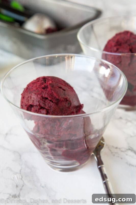 Close-up of Black Cherry Sorbet with a spoon, highlighting its smooth, scoopable texture and deep red color.