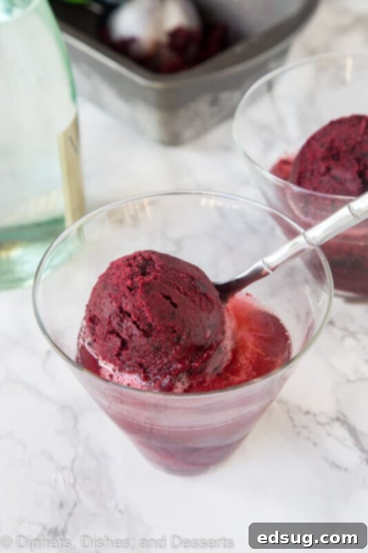 Another view of Black Cherry Sorbet in a bowl, showcasing its smooth texture and vibrant color, ready for a scoop.