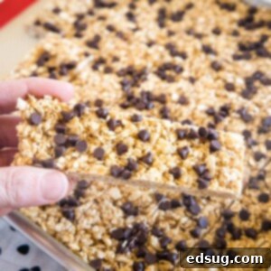 cropped in pic of homemade granola bars