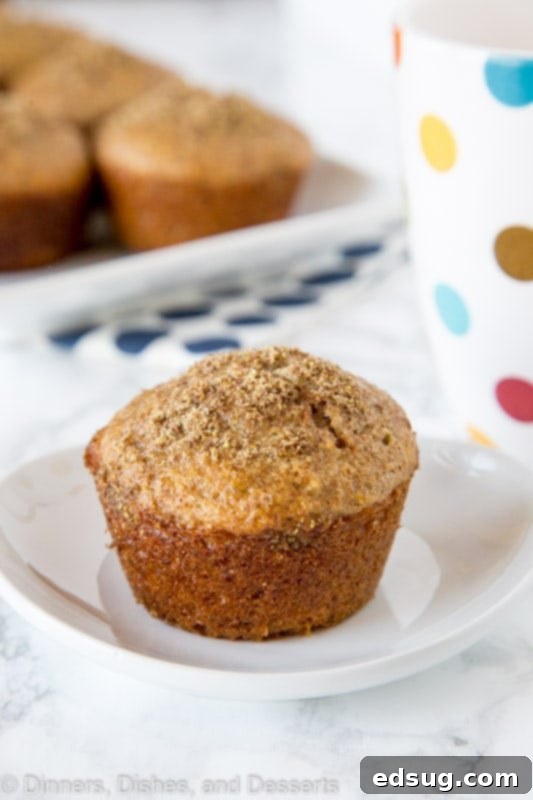 Close-up of a single bran muffin on a plate, ready to be eaten