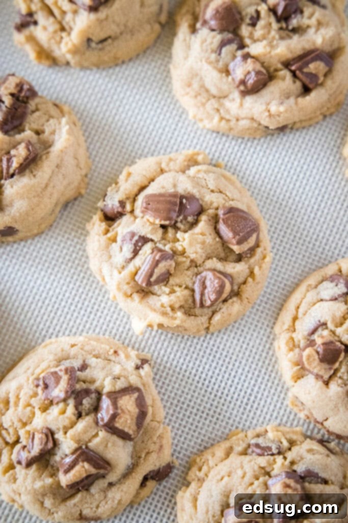 Freshly baked Reese's peanut butter cookies cooling on a baking sheet, showing their golden edges and delicious toppings.