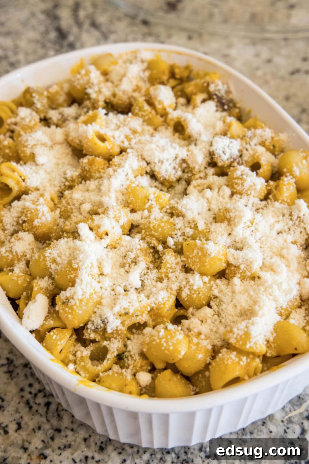 Pumpkin Pasta 4 pumpkin pasta in baking dish topped with parmesan cheese