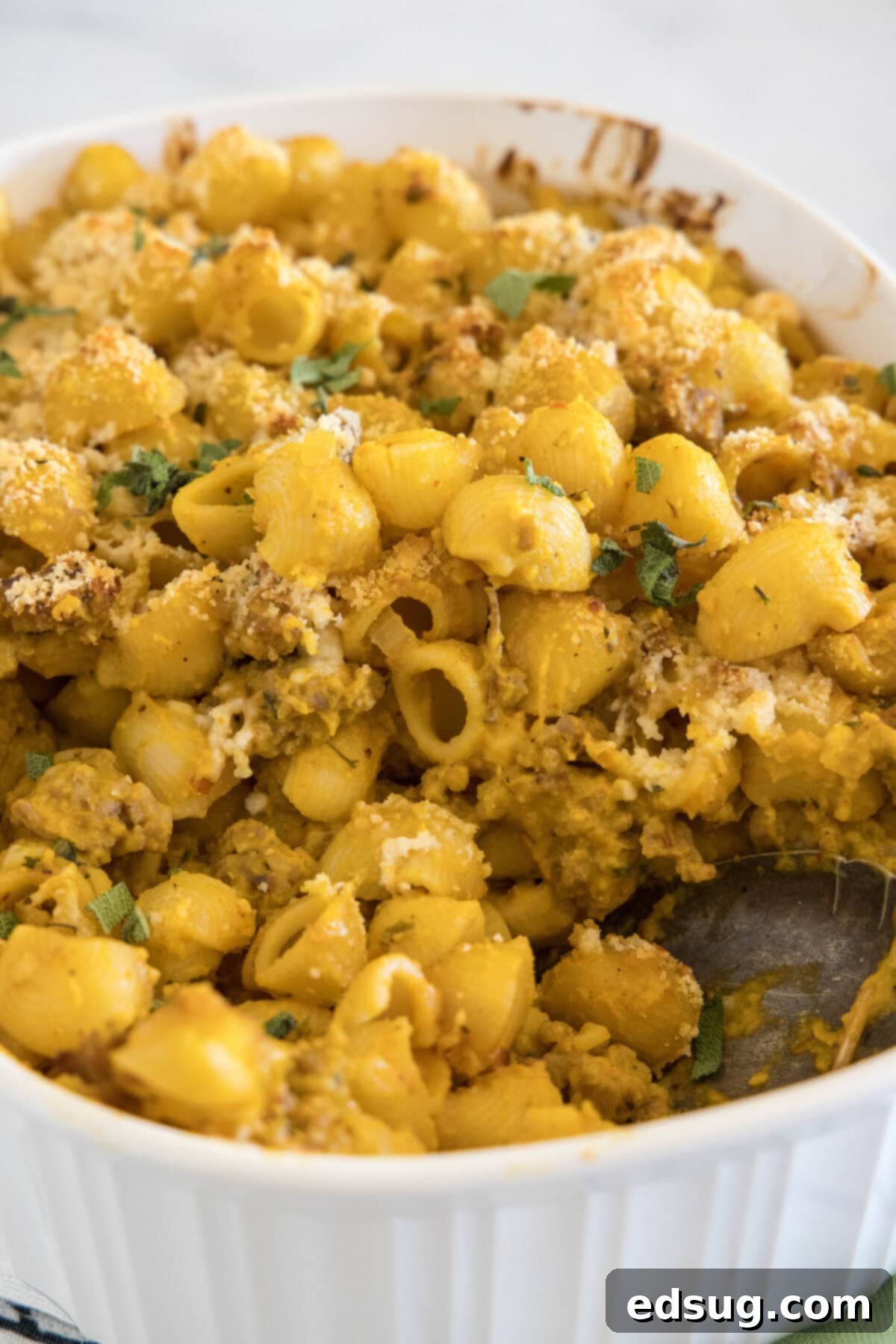 Pumpkin Pasta 6 baked pumpkin pasta in casserole dish