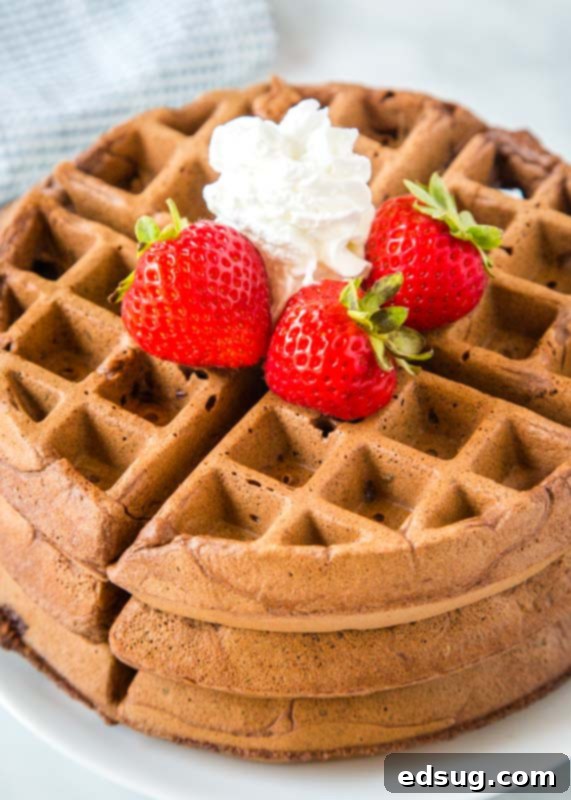 chocolate waffle on plate with whipped cream and strawberries, a delicious breakfast option