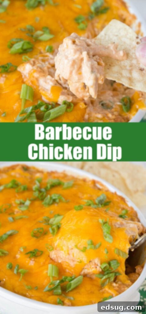 Close-up shot of the barbecue chicken dip with a chip dipped into it, showing the rich, melted cheese and chicken texture.