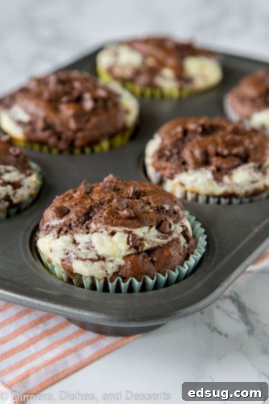 Rich double chocolate cheesecake muffins arranged neatly in a muffin tin, showcasing their delightful swirl and golden-brown tops.