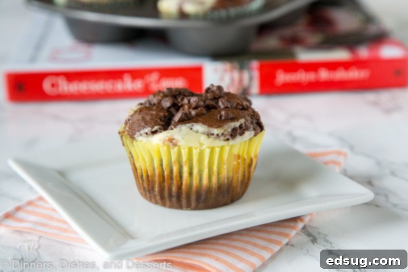 A close-up shot of a single double chocolate cheesecake muffin, showing the beautiful swirl of chocolate and cream cheese, topped with mini chocolate chips.