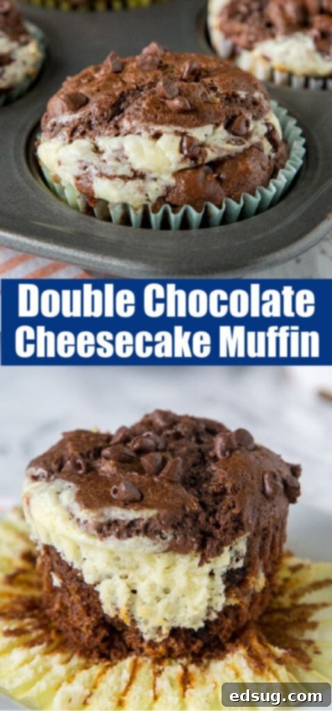 A close-up view of a perfectly baked double chocolate cheesecake muffin, highlighting its rich texture and topping.