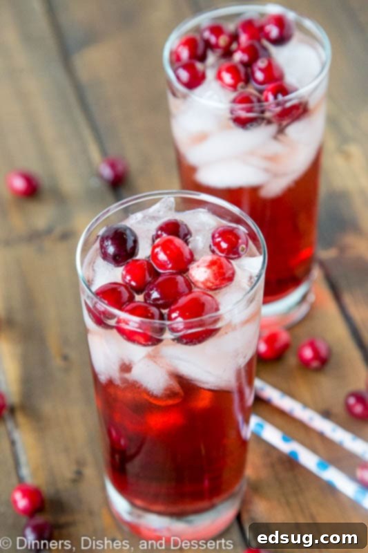 Holiday Wine Spritzer Recipe - a fun cocktail that you can serve at all your holiday get togethers! Wine, ginger ale, cranberry juice and cranberries make it festive and delicious!