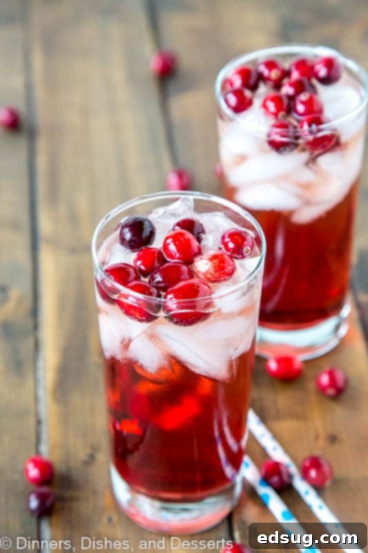 Holiday Wine Spritzer - a white wine spritzer with a holiday twist