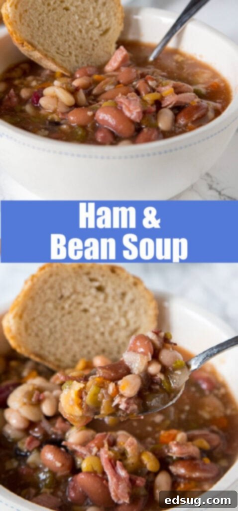 Close up view of a delicious ham and bean soup in a rustic bowl.