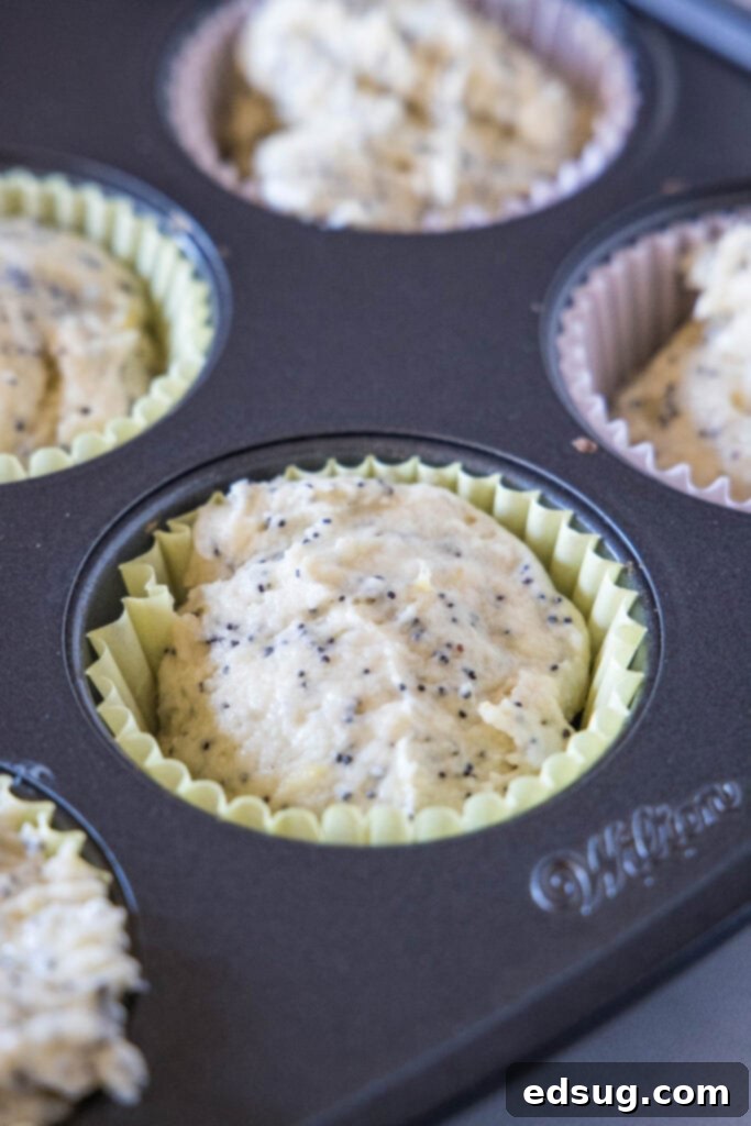 Close up of lined muffin tin wells filled with lemon poppy seed muffin batter, ready for baking.