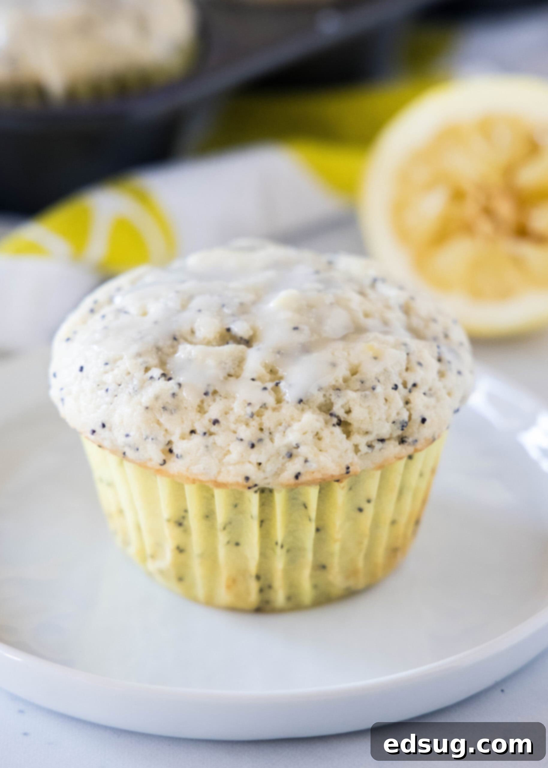 Close up of a perfectly baked and glazed lemon poppy seed muffin on a white plate, highlighting its texture.