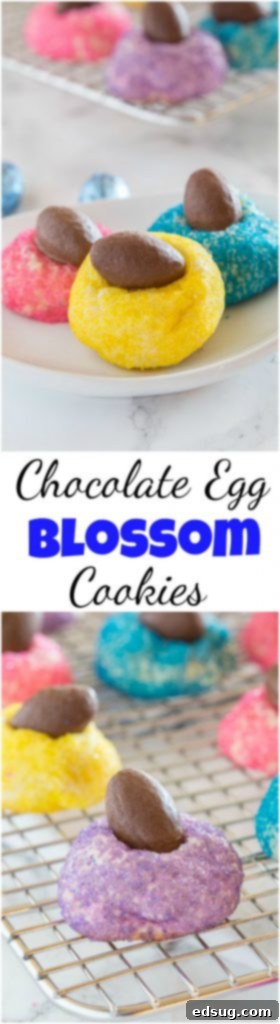 Dainty Chocolate Egg Blossoms 5 An array of Mini Chocolate Egg Blossom Cookies arranged artfully on a plate, ready for serving.