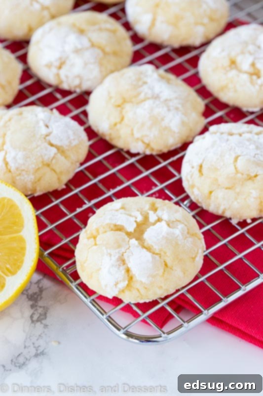 Close-up of homemade lemon crinkle cookies on a cooling rack