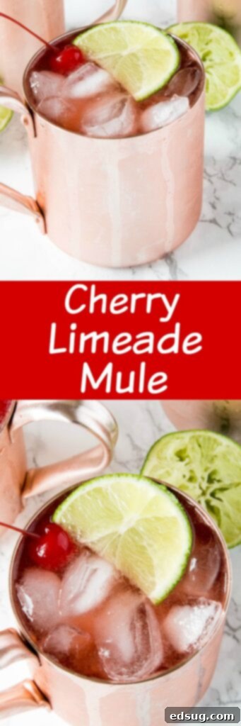 Cherry Limeade Moscow Mule - turn a classic Moscow mule into a fun summer cocktail flavored like a cherry limeade! Fun, delicious and refreshing!