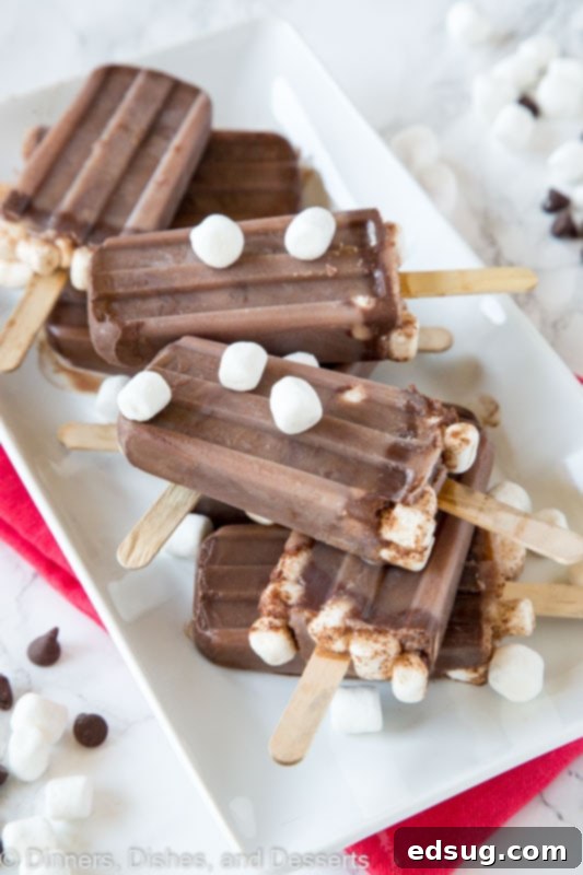 Frozen Hot Chocolate Pops 2 Hot Chocolate popsicles on a plate with marshmallows, ready for a refreshing summer treat.