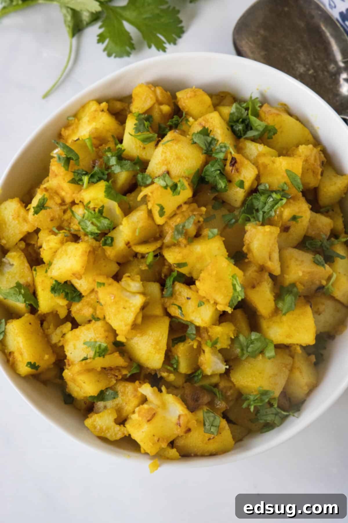 Looking directly down into a bowl of freshly made curried potatoes, garnished generously with vibrant green cilantro.