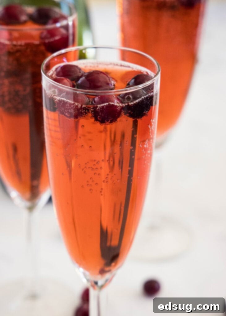 Fresh cranberries in a sparkling cranberry mimosa drink, perfect for holiday celebrations