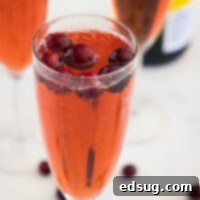 cropped close up cranberry mimosa