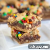 M&M's Chocolate Oat Bars 7 A close up of a piece of cake on a plate, with Fudge