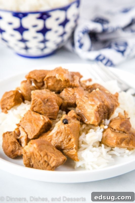 Filipino Pork Adobo, showcasing succulent pieces of pork in a rich, glossy sauce, ready to be served over rice.