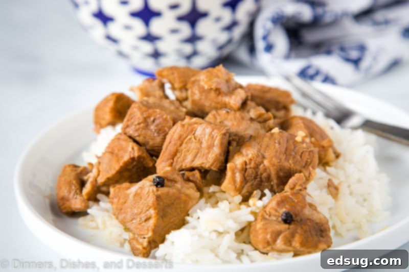 A beautifully plated Filipino Pork Adobo served alongside steaming white rice, garnished with fresh herbs.
