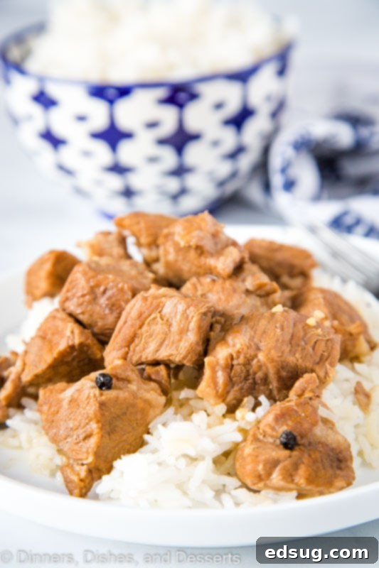 Super tender chunks of pork cooked in soy sauce, vinegar, garlic, and peppercorns is Filipino style Pork Adobo, glistening with sauce.
