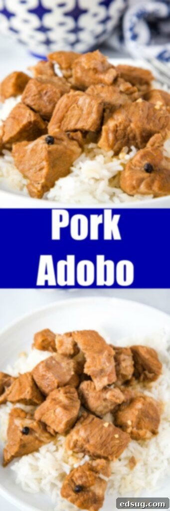 Close-up of a serving of Filipino Pork Adobo with rice, highlighting the succulent pork and rich sauce.