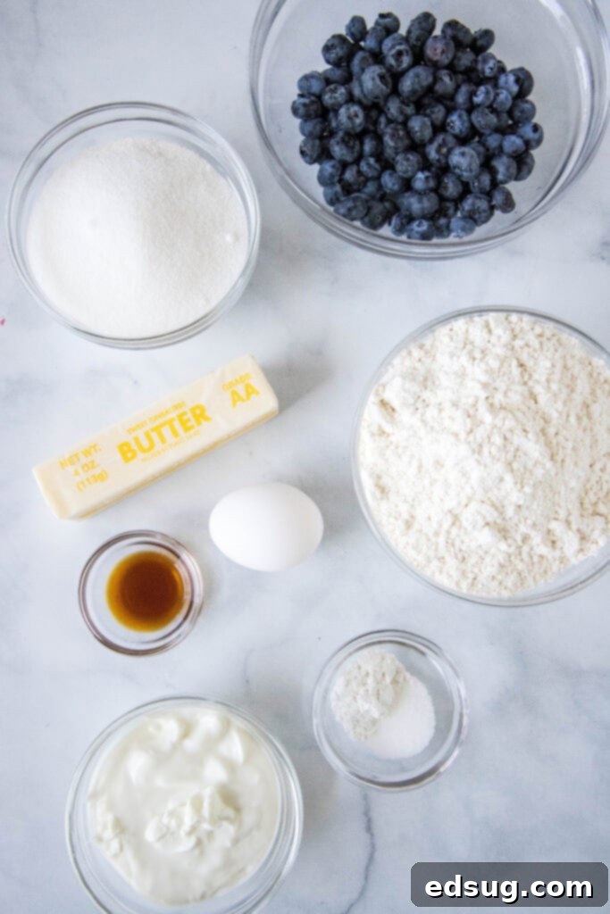A flat lay photograph showcasing all the fresh ingredients needed to bake a homemade blueberry breakfast cake, including butter, lemon, sugar, eggs, vanilla, flour, baking powder, salt, blueberries, and vanilla yogurt.