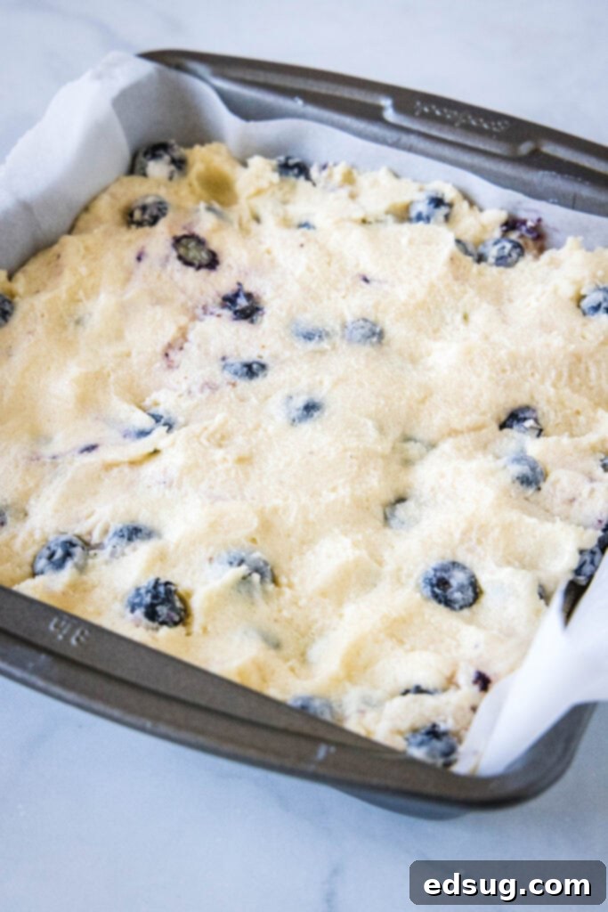Blueberry breakfast cake batter perfectly spread in a round baking dish, ready to be placed into the oven.