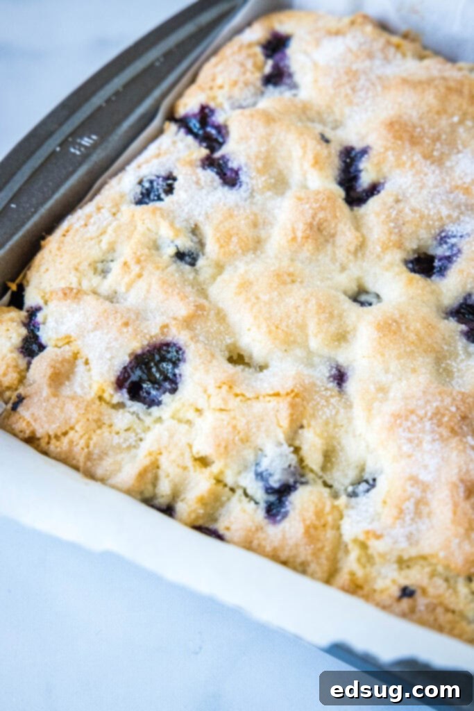 Close-up of a perfectly baked blueberry breakfast cake in a round baking dish, fresh out of the oven.