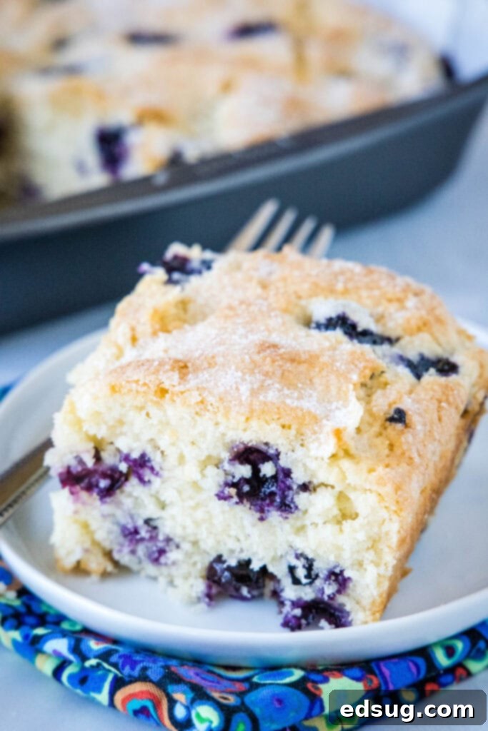 An overhead shot of a single, delectable slice of blueberry breakfast cake on a white plate, ready to be enjoyed.