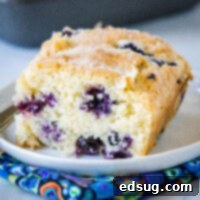cropped close up slice of blueberry cake on a white plate