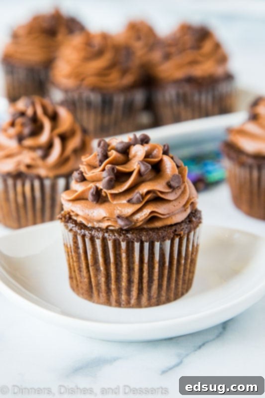 Super moist and tender Double Chocolate Cupcakes adorned with rich chocolate frosting, ready to be enjoyed.