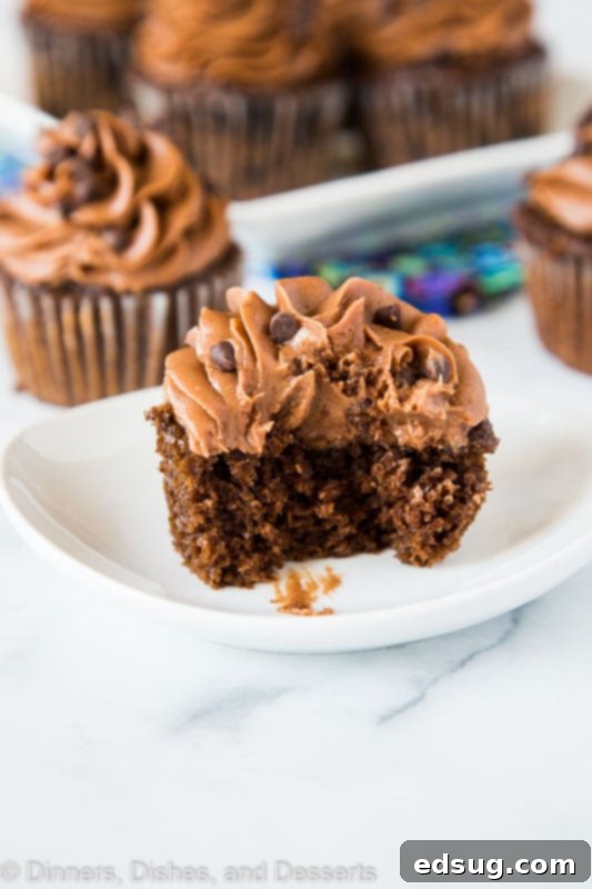 Homemade chocolate cupcakes, light and fluffy, awaiting their topping for any celebration.