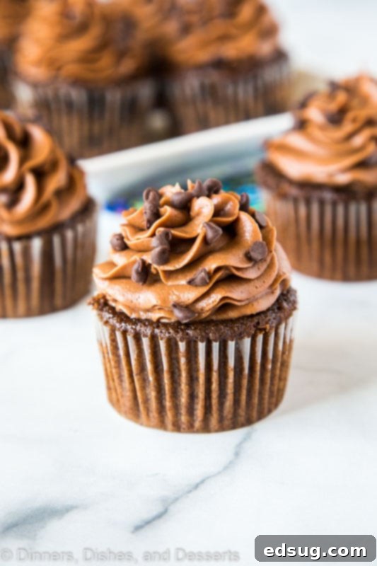 Rich and decadent chocolate cupcakes, super moist and tender, perfectly frosted and sprinkled with chocolate chips.