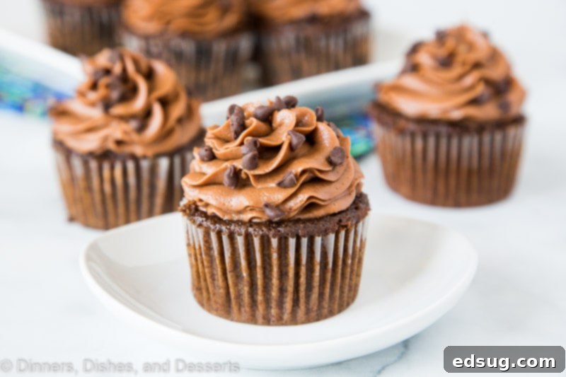 A plate of freshly baked Double Chocolate Cupcakes, tender and moist, topped with luscious chocolate frosting and chocolate chips.