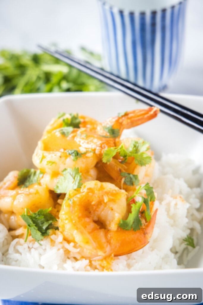 A close-up shot of Thai shrimp in a rich coconut curry sauce, served over white rice with fresh cilantro garnish, ready for a delicious meal.