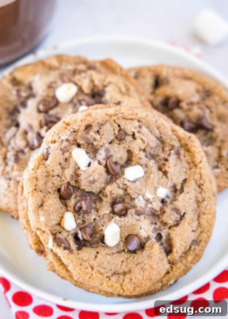 Decadent Hot Chocolate Cookies 2 A plate piled high with freshly baked hot chocolate cookies, topped with melted mini marshmallows and chocolate chips, evoking a sense of cozy winter comfort.