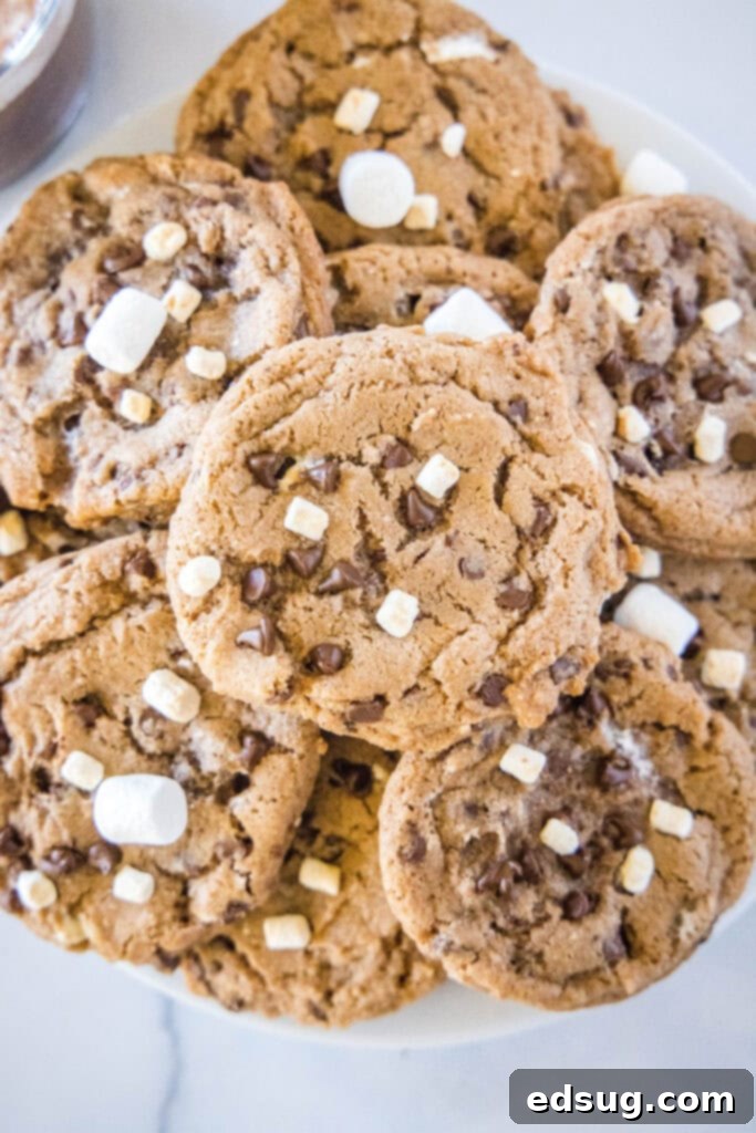 Decadent Hot Chocolate Cookies 4 A beautifully arranged plate brimming with golden-brown hot chocolate cookies, showcasing their perfect texture and delicious toppings.