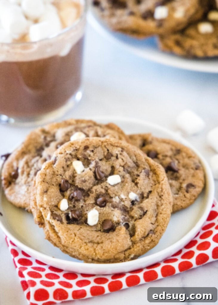 Decadent Hot Chocolate Cookies 5 A warm mug of hot chocolate paired with a plate of hot chocolate cookies, creating a delightful and comforting snack scene.